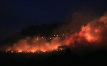 Incendio en Atzizintla será liquidado este jueves: Manrique