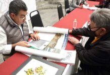Gobernador atiende peticiones de poblanos en “Martes Ciudadano” Gobernador