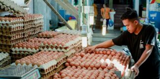 Precio del huevo podría bajar hasta inicios de marzo Huevo