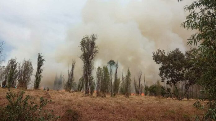 Incendio