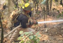 PC y CONAFOR trabajan en sofocar incendio en Tlatempa Incendio