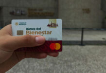 Jóvenes Construyendo el Futuro: Checa el monto y fecha de depósito Jóvenes