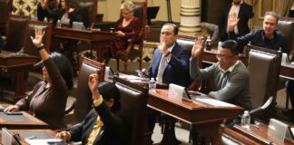 Ley Monzón y Ley Ácida se votarán el 2 de marzo en Congreso de Puebla Ley