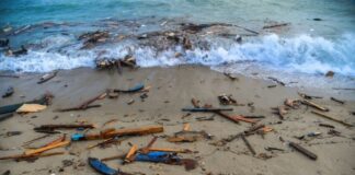 Mueren más de 60 migrantes tras naufragar en la costa de Italia Migrantes