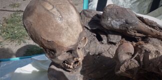 Hallan momia prehispánica en bolsa de un repartidor en Perú Momia