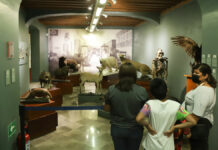 Noche de Museos: 12 ediciones se realizarán en Puebla este 2023 Noche