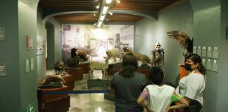 Noche de Museos: 12 ediciones se realizarán en Puebla este 2023 Noche