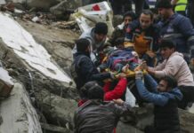 Terremoto en Turquía y Siria afectó a más de 7 millones de niños: UNICEF Terremoto