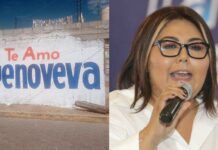 Promueven a Genoveva Huerta con pinta de bardas en la entidad