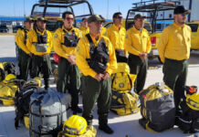 Chile recibe a brigadistas mexicanos para combatir incendios forestales Brigadistas
