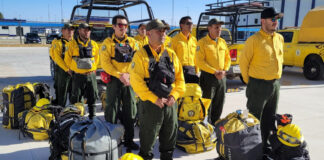 Chile recibe a brigadistas mexicanos para combatir incendios forestales Brigadistas