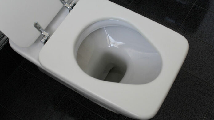 Tazas