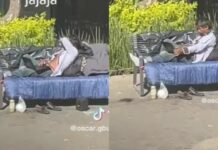 Captan a vagabundo en la Condesa con iPhone y computadora