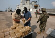 EU presentará proyecto para designar a cárteles como grupos terroristas