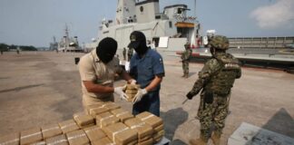 EU presentará proyecto para designar a cárteles como grupos terroristas