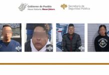 Cae “El Gallo”, presunto líder criminal en Santa Ana Xalmimilulco Criminal