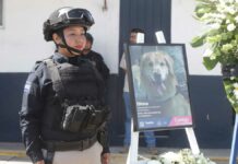 Rinden homenaje póstumo a ‘Dima’, elemento del Grupo K-9 Dima