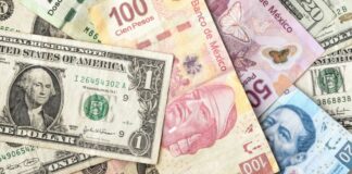 Dólar amanece a 20.64 pesos tras triunfo de Trump Dólar