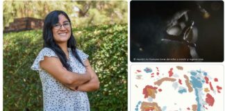 Egresada UDLAP obtiene beca para hacer residencia en Islandia Egresada