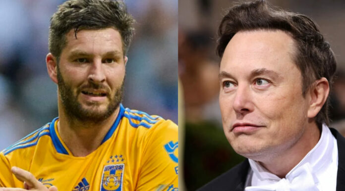 Elon Gignac