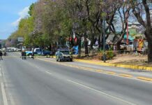 Hombre se suicida en árbol de colonia Huexotitla Hombre