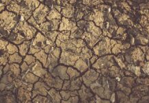 Fenómeno ‘La Niña’ podría terminar tras tres años: OMM La Niña