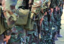 Declarar a carteles como grupos terroristas debería preocupar a México: Experta México
