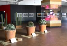 Museo de la Evolución Tehuacán reinicia actividades con exposición Museo