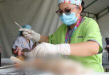 Salud llevó esterilización de perros y gatos a Hueytamalco Salud