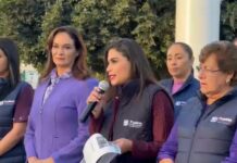 Comuna anuncia más de 20 actividades por Día Internacional de la Mujer