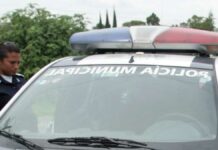 Hallan cadáver apuñalado en invernadero de El Verde Cadáver