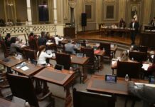 PAN va por su Ley Sabina para crear padrón de deudores alimentarios deudores