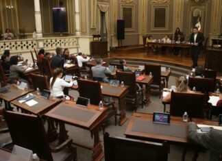 PAN va por su Ley Sabina para crear padrón de deudores alimentarios deudores