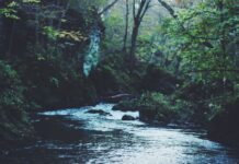 Alertan a habitantes de Philadelphia por derrame químico en río