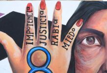 Falta trabajo ante violencia contra las mujeres: Mónica Silva mujeres