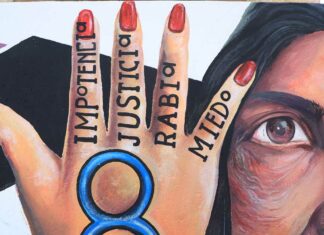 Falta trabajo ante violencia contra las mujeres: Mónica Silva mujeres