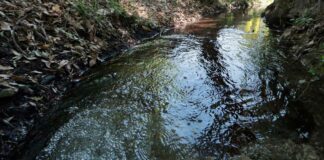 Liberan a pobladores de Morelos retenidos en Puebla pobladores