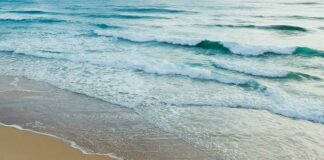 Alma Rosa, de 17 años, cuarta poblana víctima de naufragio en California poblana