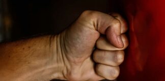 PRI Puebla protege a exfuncionario acusado de violencia familiar PRI