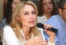 Destitución de Alcántara, solicita Erika de la Vega al PAN Alcántara