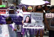 Familias de Ana Laura Castelán y Liliana Velázquez urgen detener a feminicidas Ana Laura