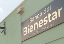 Dan cristalazo a Banco del Bienestar en Cuautlancingo Bienestar