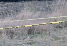 Perros devoran brazo de una persona en Tlapanalá Brazo