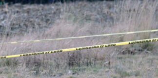 Perros devoran brazo de una persona en Tlapanalá Brazo