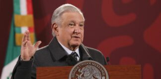 Peña Nieto dio permisos para vender cannabis a familia de Fox: AMLO Cannabis