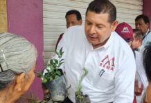 Alejandro Armenta entrega frutales en tianguis de tres municipios