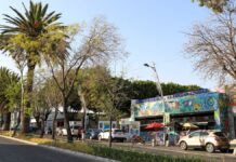 Avenida Juárez: Obras iniciarán en 3 meses