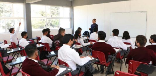 Docentes