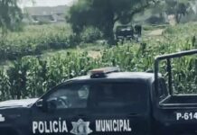 Hombre termina con su vida colgándose de árbol en Tehuacán Hombre