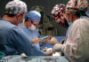 ISSSTEP realiza su cuarto trasplante renal del año ISSSTEP